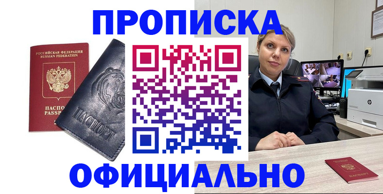 где прописаться в Большом Камне